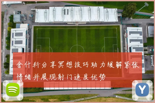 舍什科分享冥想技巧助力缓解紧张情绪并展现射门速度优势